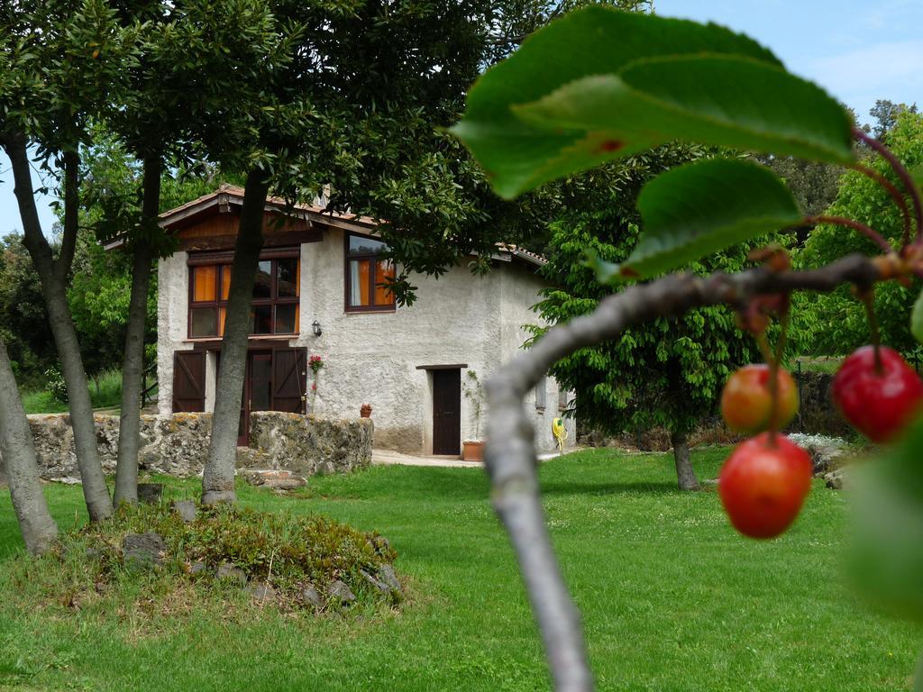 Can Janot Villa Олот Екстериор снимка